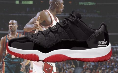 2025年夏季发布：Air Jordan 11 Low “Bred” PE