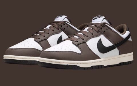 Nike Dunk Low Next Nature“Cacao Wow”现已上市（2024年6月）