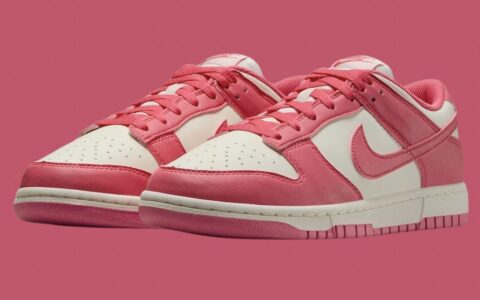 Nike Dunk Low Next Nature “Aster Pink”现已上市（2024年6月）