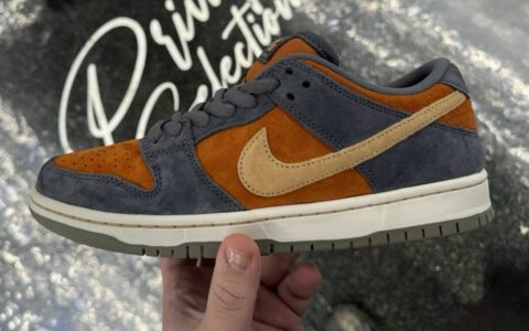 Nike SB Dunk Low “Light Carbon” 将于2024年假期发布