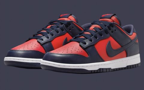 Nike Dunk Low CO.JP “City Attack” 将于2024年7月回归