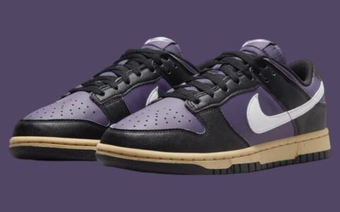 Nike Dunk Low Next Nature “紫黑” 2024年秋季发布