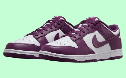 Nike Dunk Low “Viotech” 现已上市（2024年7月）