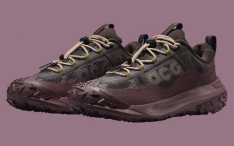 Nike ACG Mountain Fly 2 Low Gore-Tex “Velvet Brown” 将于2024年秋季发布。