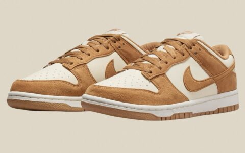 Nike Dunk Low Next Nature “Flax Suede”现已发售（2024年8月）