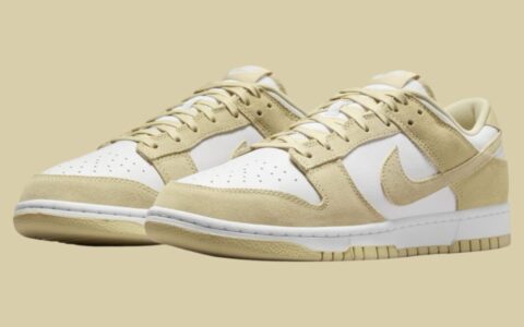 Nike Dunk Low “Team Gold” 将于2024年秋季发售。